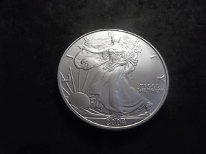 2004 Silver Eagle 1 Oz. 99.9 Fine MS From Unc Roll