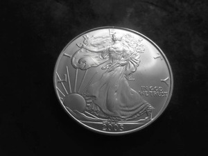 2005 Silver Eagle 1 Oz. 99.9 Fine MS From Unc Roll