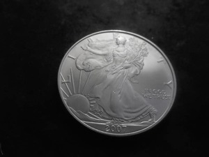 2007 Silver Eagle 1 Oz. 99.9 Fine MS From Unc Roll