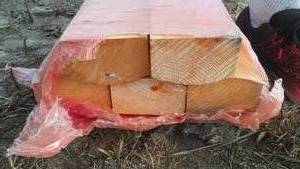 lot 617 image: (5) 16 ft.  Log Edge 2x4