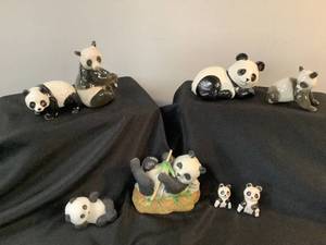 Panda Lot
