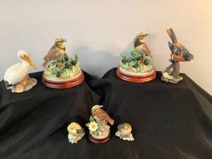 Bird Lot