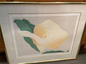Day Lily Print