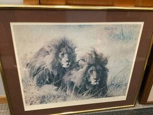 Lion Print