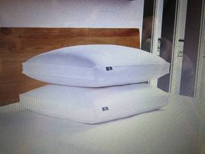 Serta Feather and Down Side-Sleeper...