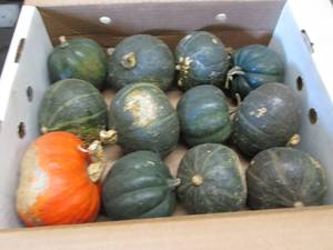 Box of Assorted Winter Squash...