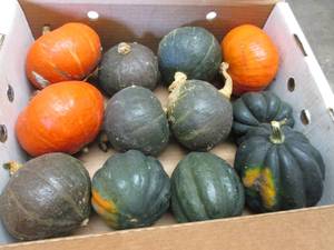 Box of Assorted Winter Squash...