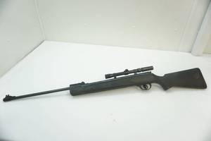 lot 9 image: Daisy Outdoor pellet gun