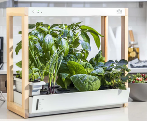 Rise Hydroponic Indoor Garden with LOTS of Supplies - Used Once