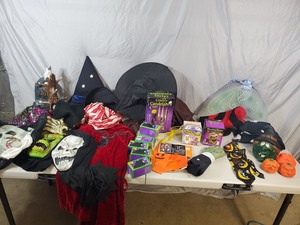 Large Lot of Halloween Decor, Costumes, Etc