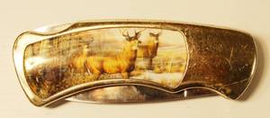 Native American Style Collectable Knife