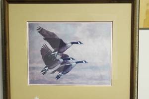 Flying Geese By Christopher Forrest