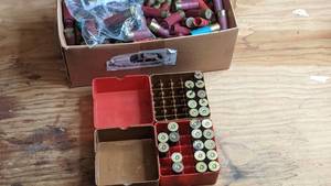 lot 48 image: Assorted Shotgun Shells