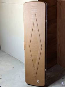 lot 100 image: Hard Gun Case