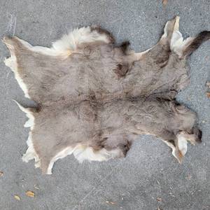 lot 340 image: Deer Pelt 48x38