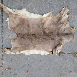 lot 339 image: Real Fur Pelt 37x57