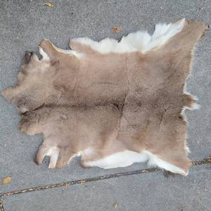 lot 329 image: Fur Pelt 51x38