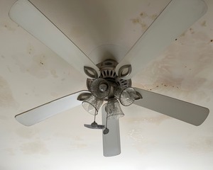 lot 176 image: Ceiling Fan