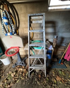 lot 350 image: Ladder