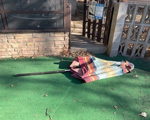 lot 357 image: Patio Umbrella