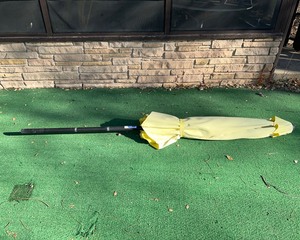lot 360 image: Patio Umbrella
