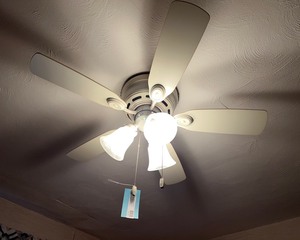 lot 132 image: Ceiling Fan