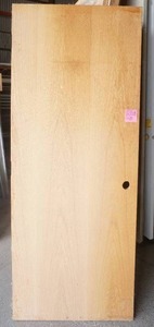Oak hollow core slab door