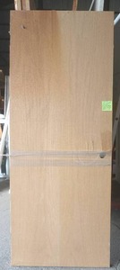 Oak hollow core door slab