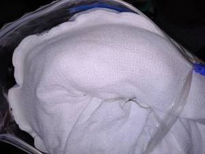lot 367 image: King Mattress Pad New.