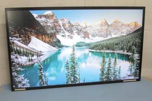 lot 93 image: Samsung 1080p Full HD 55 PM55F LCD LED Pro Flat Panel Display  Monitor  Television  TV with Touchscreen  Touch Screen