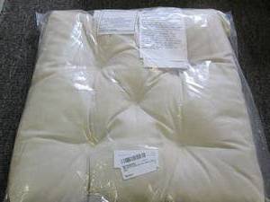 lot 61 image: new ikea malinda chair cushion ligh...