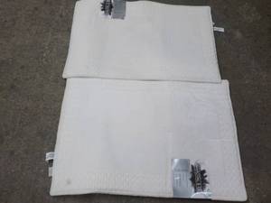2 - 24 x 36 Charcoal and Gel Bath ...