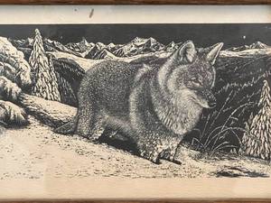 lot 69 image: Black and Cream Drawing of Wolf by Mel Dobson