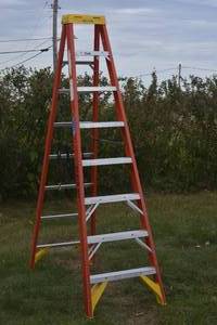 lot 31 image: Werner 8 ft. Ladder