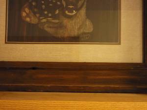 Original Scratchboard Rendering of Young Fawn by Sharon Wald