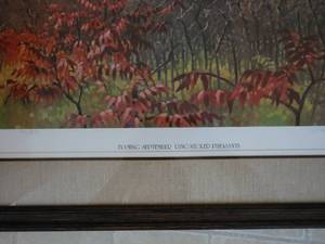 Limited Edition Print Flaming September Ring Necked Pheasants by Meineke