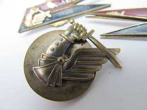 lot 66 image: Hard to Find Orig WW2 Polish 7th Armored Regiment Collar Badges & Another Pin