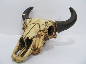 lot 195 image: Vintage Ceramic or Chalkware Skull