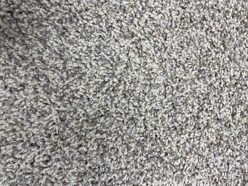 93 SF of Plush Carpet Rem 12 X 7.75