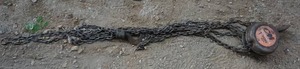 lot 19 image: CM Satellite 1 Ton Chain Hoist