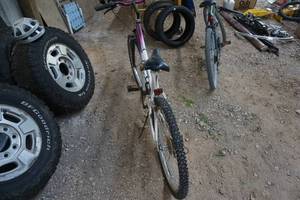 lot 99 image: Magna Great Divide Bicycle