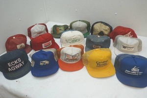 lot 204 image: caps