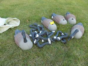 Shell Decoys, Canadian Goose  Box of 18 Bodies w Heads