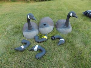 Large Shell Canadian Goose Decoys Bag of 6 Bodies wHeads