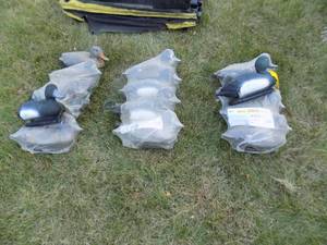 13- Bluebill Decoys (new in box)