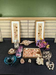 Seashell & Marine Collection Piece, Large Sea Snail Shell, Vase of Seashells, Pressed Dried Wild Flower Framed Art and More