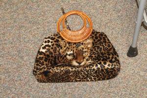 lot 344 image: Womens Cheetah Print Purse