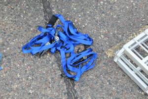 lot 447 image: Lot of (4) Tie-Down Straps