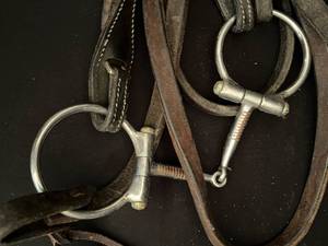 Brown Halter with Lead