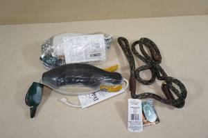 lot 186 image: Dokken Dead Fowl Duck Dog Trainers with Training Lead